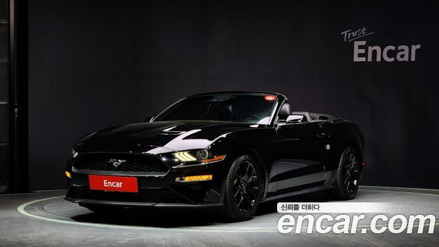 FORD | FORD Mustang | Mustang