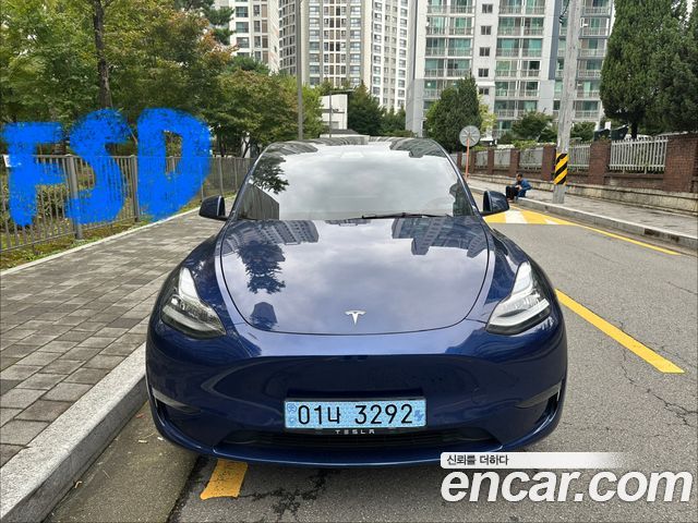 Tesla | Tesla Model Y | Model Y