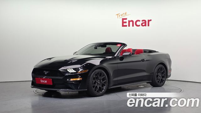 FORD | FORD Mustang | Mustang