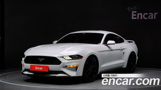 FORD | FORD Mustang | Mustang