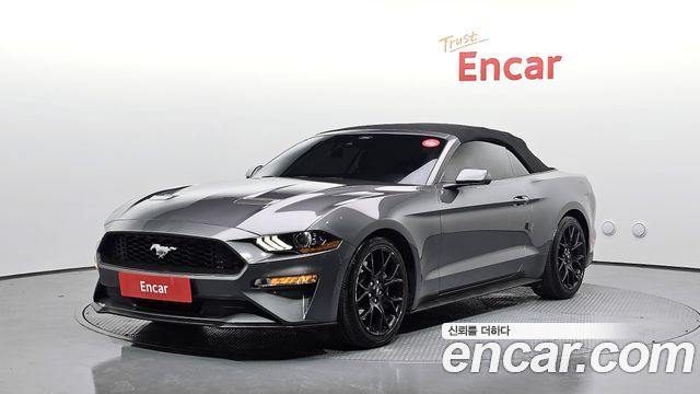 FORD | FORD Mustang | Mustang