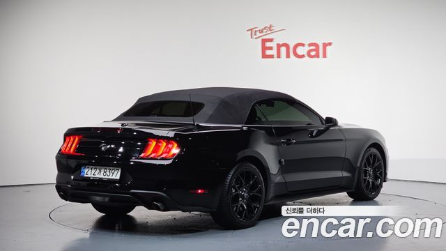 FORD | FORD Mustang | Mustang
