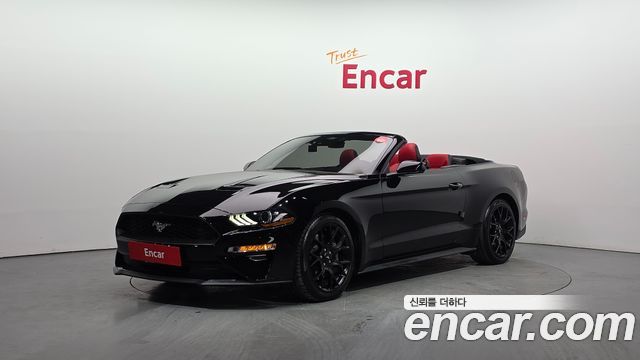 FORD | FORD Mustang | Mustang