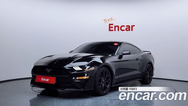 FORD | FORD Mustang | Mustang